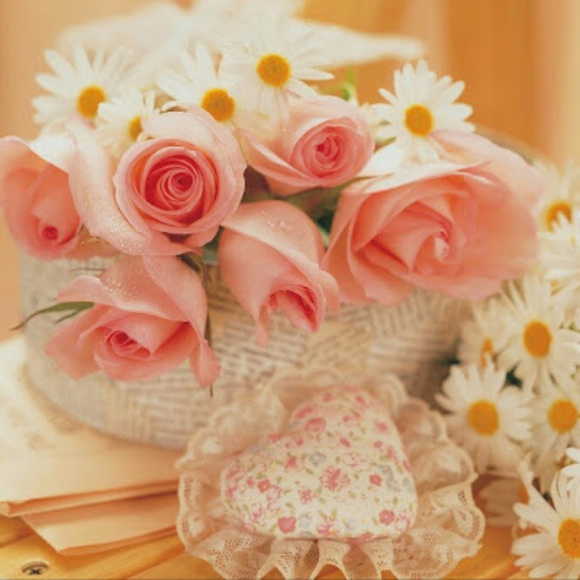 Meet your Posher, Layla - Picture 1 of 1